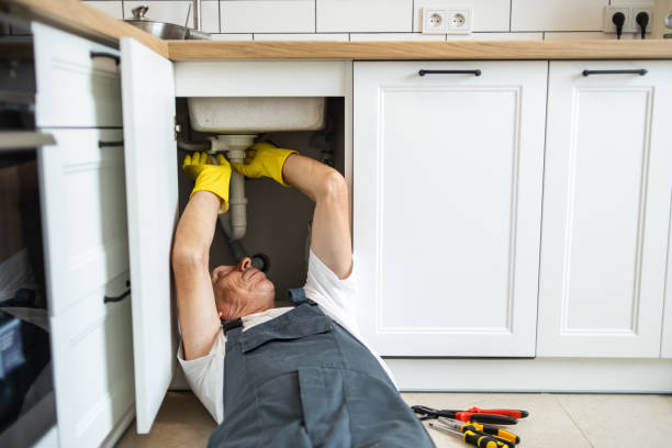 Best Pipe Repair Near Me  in Moapa Valley, NV