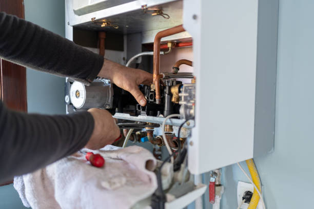 Best Clogged Drain Plumber  in Moapa Valley, NV