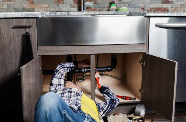 Best Plumbing Inspection Services  in Moapa Valley, NV